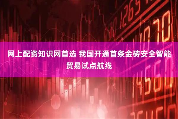 网上配资知识网首选 我国开通首条金砖安全智能贸易试点航线