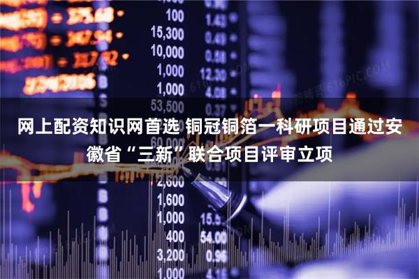 网上配资知识网首选 铜冠铜箔一科研项目通过安徽省“三新”联合项目评审立项