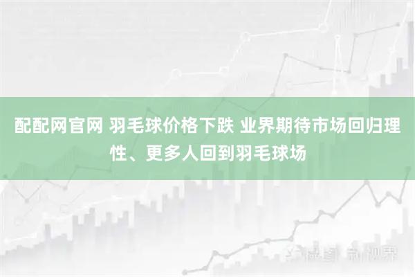 配配网官网 羽毛球价格下跌 业界期待市场回归理性、更多人回到羽毛球场